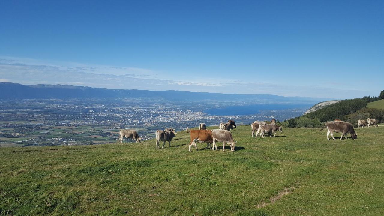 Appartement Au Calme Avec Terrasse Verdoyante Entre Annecy Et Geneve Villy-le-Pelloux ภายนอก รูปภาพ