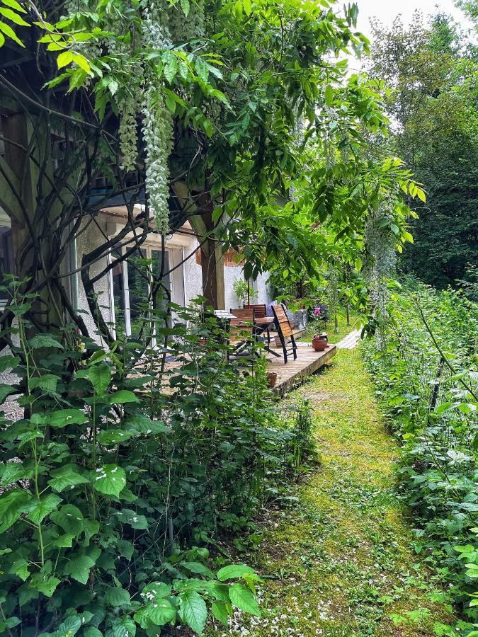 Appartement Au Calme Avec Terrasse Verdoyante Entre Annecy Et Geneve Villy-le-Pelloux ภายนอก รูปภาพ